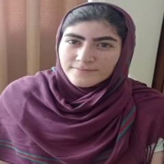 rozhin Solgi