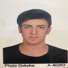احسان صالحی